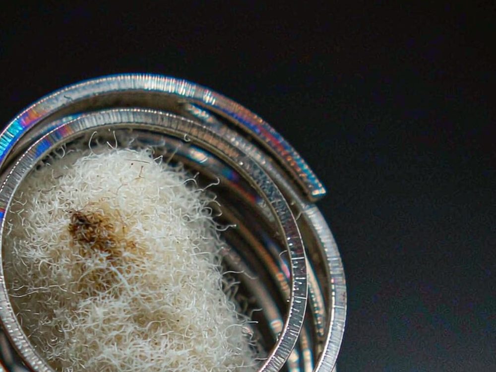 Buyer's Guide to Elektronna Ya Sisgareta coils — budget tier