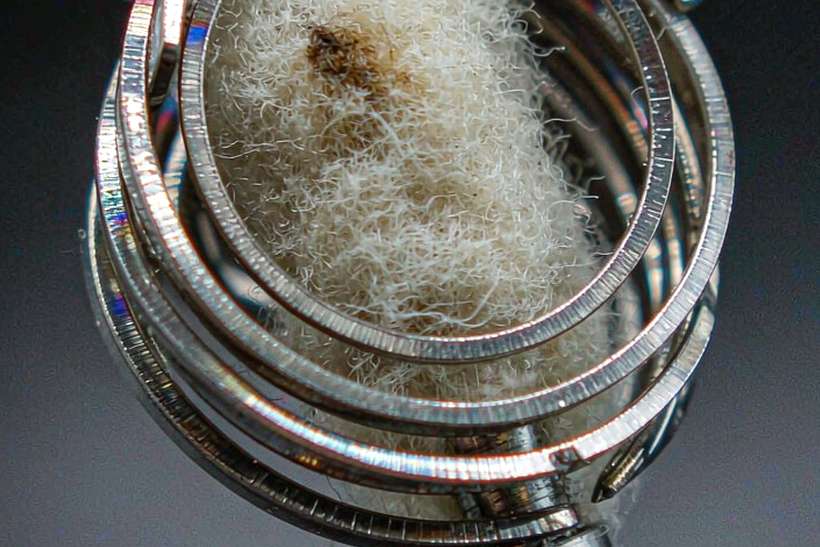 Glossary of Elektronna Ya Sisgareta coils — Spring catalog