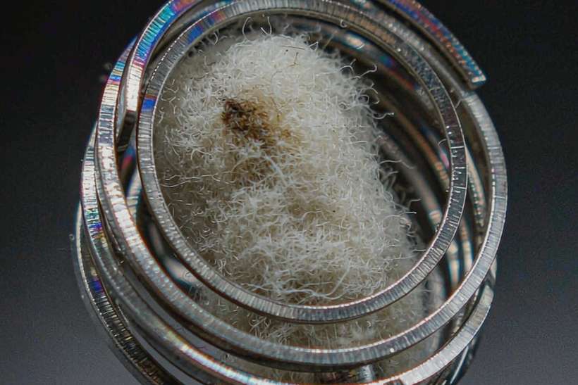 How to Store Elektronna Ya Sisgareta coils — Winter special