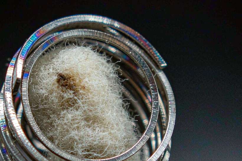 Market Overview of Elektronna Ya Sisgareta pods — Summer deals