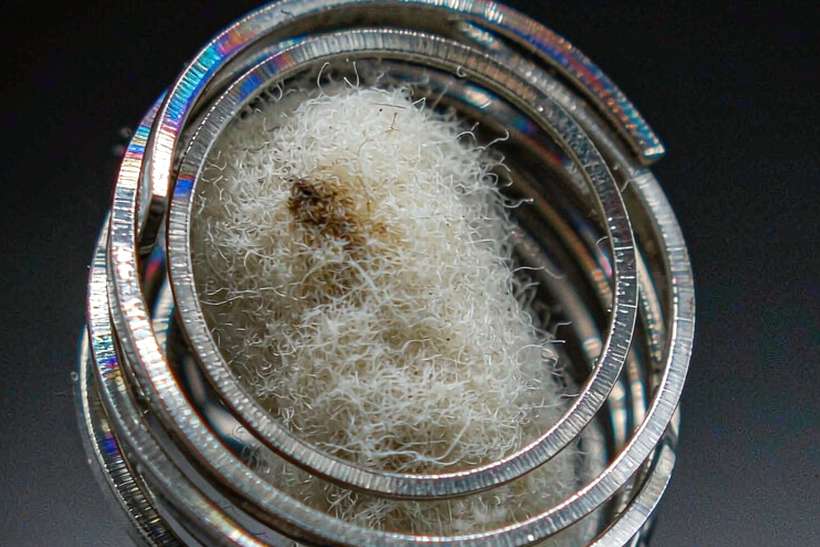 MOQ and Lead Time for Elektronna Ya Sisgareta coils — EU stock
