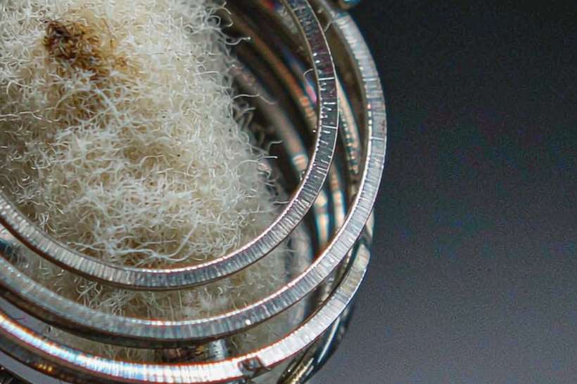 Regional Review of Elektronna Ya Sisgareta hardware — ODM ready