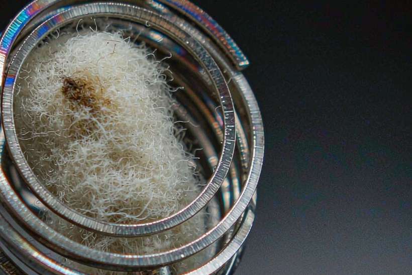 Regional Review of Elektronna Ya Sisgareta products in Athens — OEM available