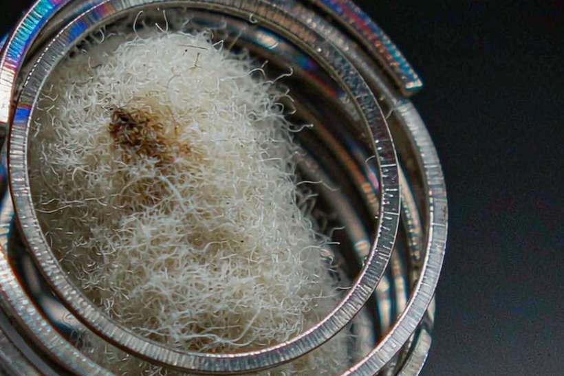 Restocking Elektronna Ya Sisgareta tanks — small parcel