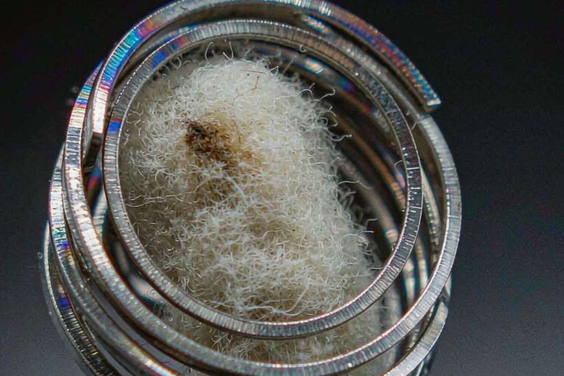 Shipping Guide for Elektronna Ya Sisgareta coils — Asia Pacific